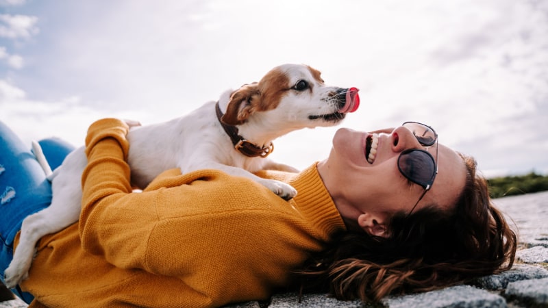 夢占いでの犬との触れ合い｜愛犬をなでる夢の意味とは？