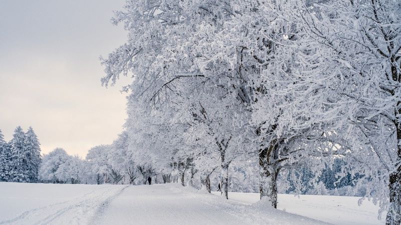 【夢占い】雪景色が象徴する意味とは？心理や運勢を徹底解説