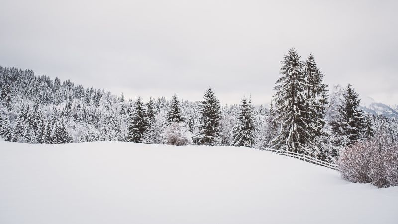 夢占いで雪が意味するもの – 解読ガイド