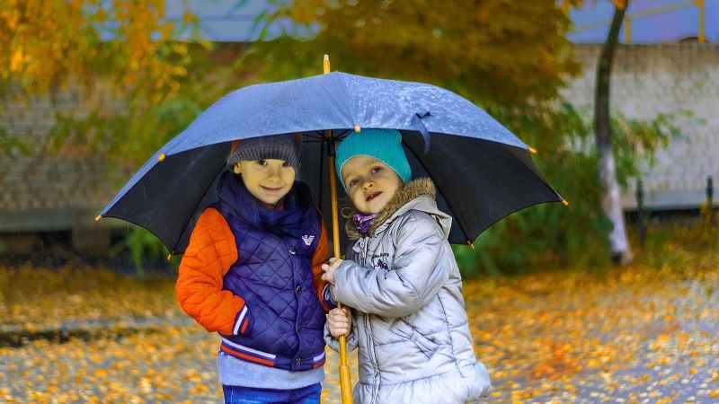 雨の夢と恋人が同時に現れる夢占いの解釈