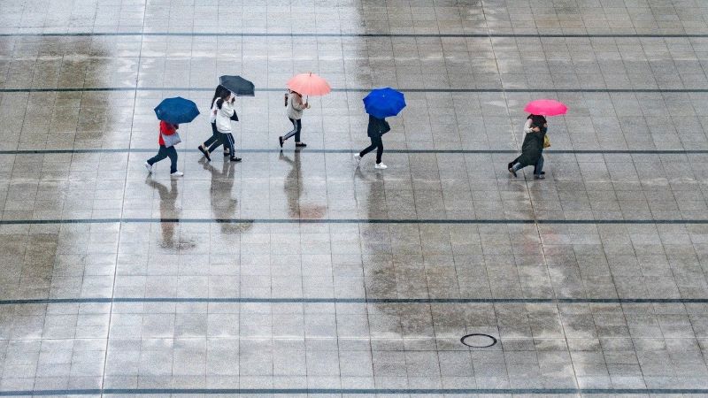 雨の夢占いの意味【完全ガイド】