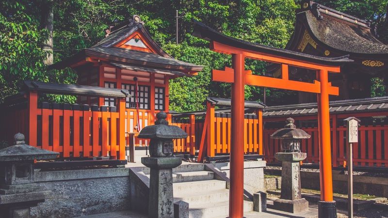 夢占い｜神社でうさぎを見る夢の意味とは？運気や人生の転機について詳しくご紹介！