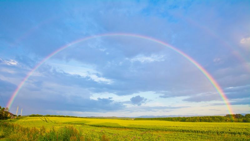 虹を見る夢の意味とは？7色の希望が示すメッセージを徹底解説！